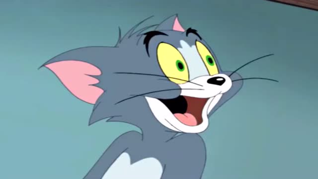 《猫和老鼠》汤姆该锻炼身体了,这肥胖的身体看着都难受!