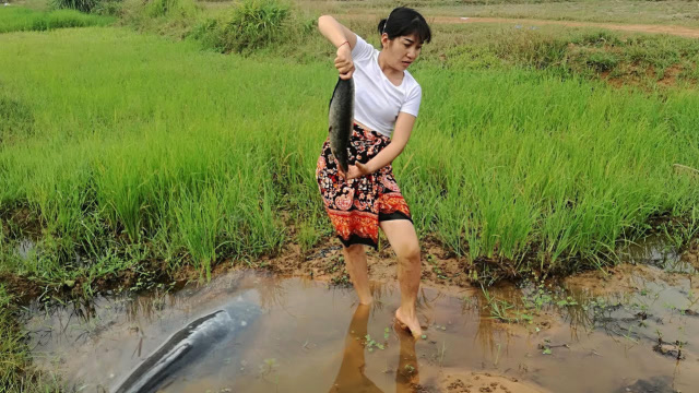 家里没肉吃了,柬埔寨妹子就去荒田里捉鱼,这种日子真幸福!