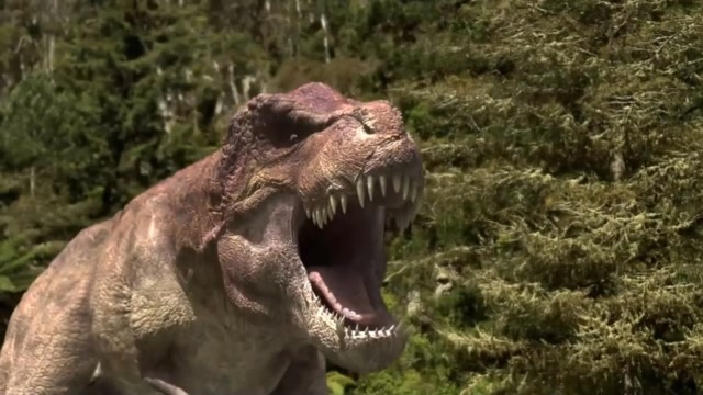 恐龙传奇,小暴龙趁成年霸王龙没注意,叼着一块肉就跑!