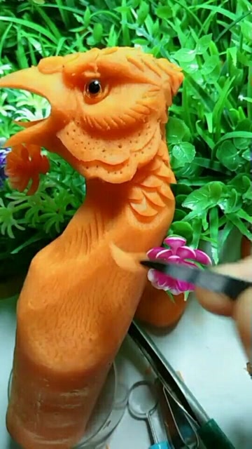 胡萝卜顺间变漂亮孔雀头