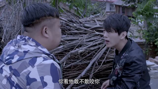 《啊父老乡亲》申二楞又想鬼点子 实力作死!