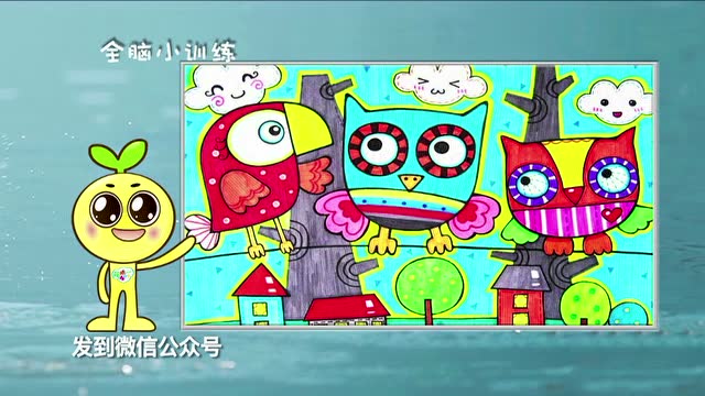 第01集巴西的鸟不只会飞哦