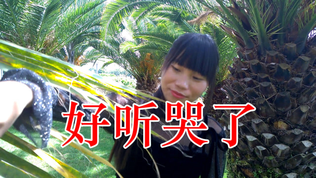 经典老歌!一曲《十三亲》句句太真,太感动,好听极了!