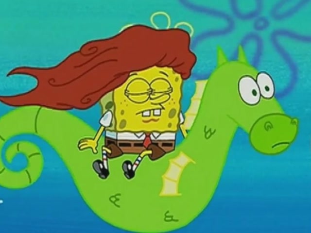 海绵宝宝发现一只海马