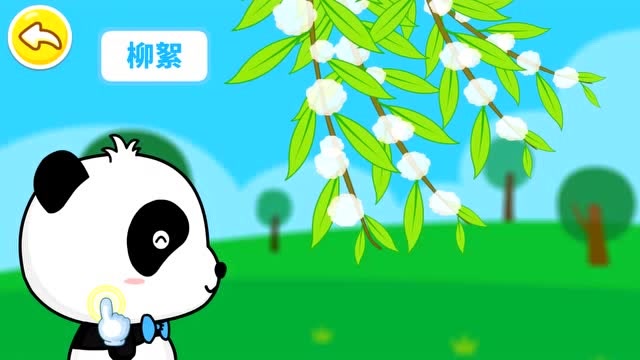 宝宝巴士 宝宝爱自然 柳絮靠风传播