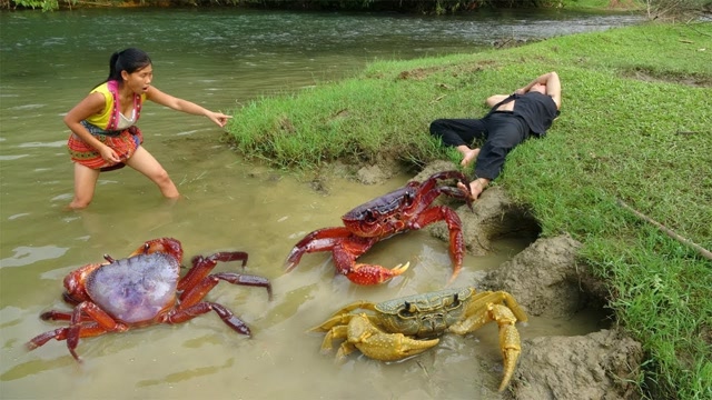 趣味原始人生活探秘 一口气抓到了20只螃蟹