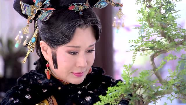 皇祖母精心照顾一盆盆栽,只因为是美璃种的