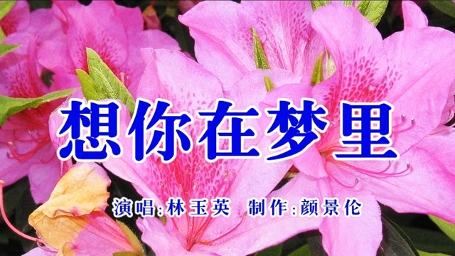 林玉英《想你在梦里》,经典金曲,百听不厌!