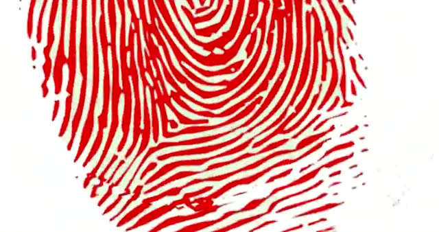 红手印--致敬小岗村三种精神