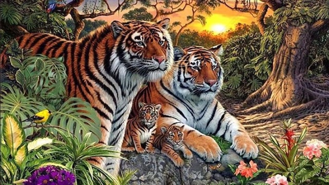 十六只老虎图图片