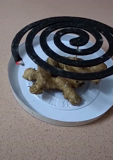 烧蚊香烧出了新高度,看到最后,网友:这是要以牙还牙吗?