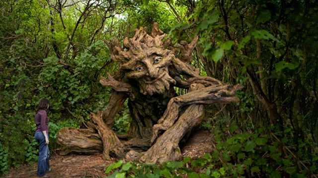 树龄4000多年的奇葩食人树,专吃女性,对男人没有一点兴趣!