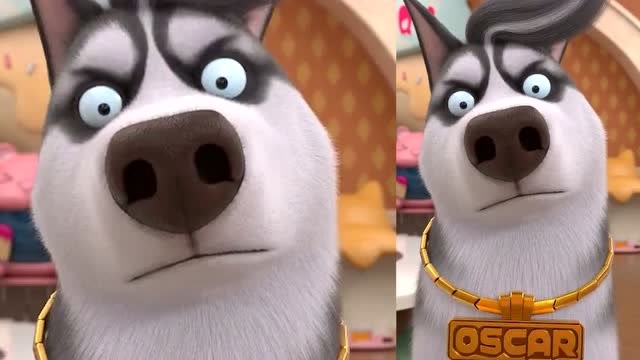 飞狗moco:天不遂人愿,奥斯卡太惨了!