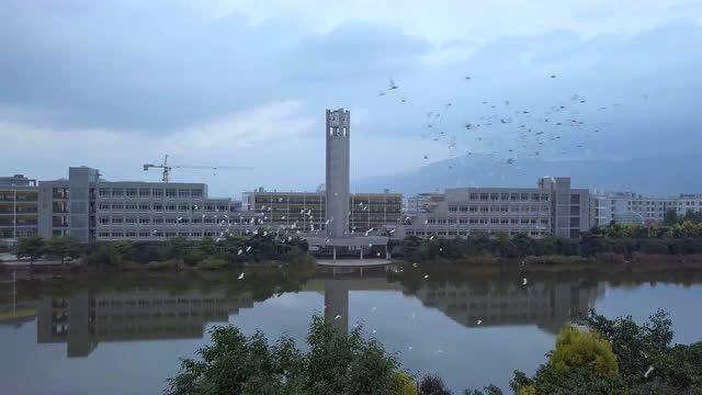 航拍学校 红河学院