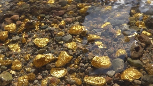 老外野外寻金,在小溪发现大量黄金,一天下来足有几斤的收获