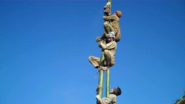 爬竹竿,这操作,猴子看了都得服