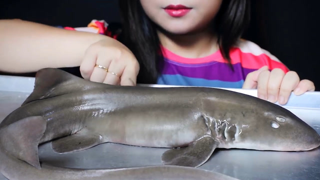 小姐姐吃小鲨鱼吃之前先调戏一下小青鲨大口吃得津津有味