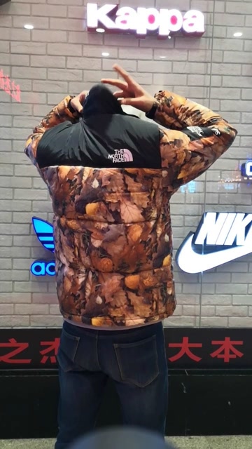 supreme北面联名枫叶落叶羽绒服