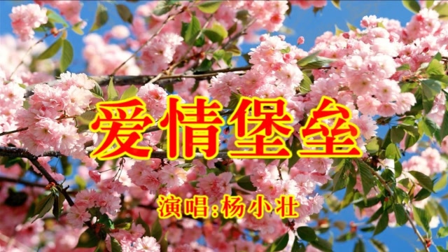 杨小壮《爱情堡垒》,dj歌曲,无损音质,好听极啦!