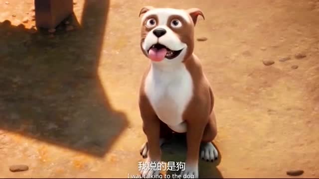 斯塔比中士是一只了不起的狗狗