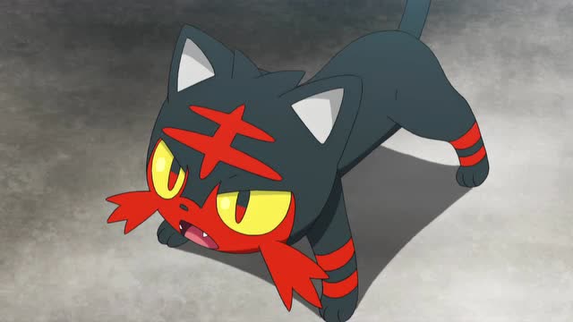 精灵宝可梦:小智明白了火焰猫的意思,派出皮卡丘准备对战