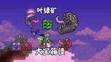 天铭 泰拉瑞亚 1.4 最后的旅途 37超级变态大宝箱怪 开采 叶绿矿