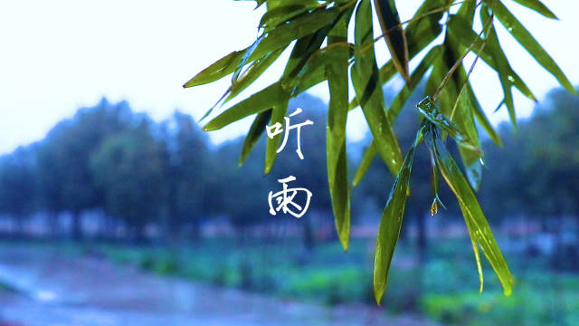 琵琶曲《听雨》静心悠然,人间致美