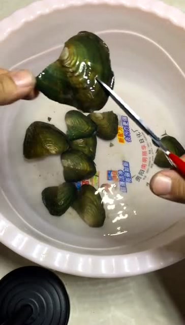 万物皆可开小伙现场开贝壳没想到真的取出了珍珠