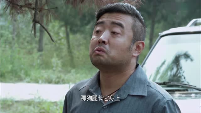 神犬奇兵郭有栋被狗贩子劫持神狗搬一车当兵的支援不好惹下