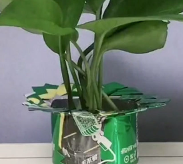 易拉罐别当垃圾丢,简单改造下,做个花瓶,这个创意不错吧!