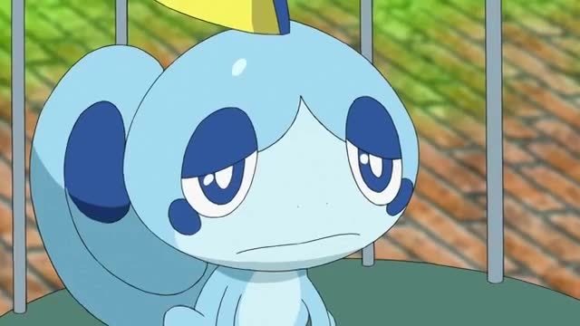 宠物小精灵:小豪的泪眼蜥能力太强!让整个火箭队痛哭流涕,厉害了!