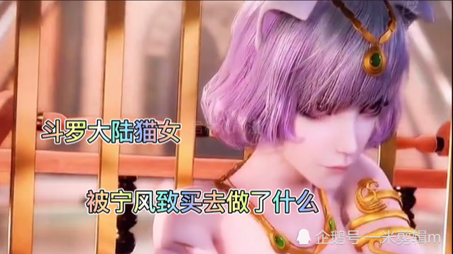 斗罗大陆:这只猫女被宁风致买去做了什么