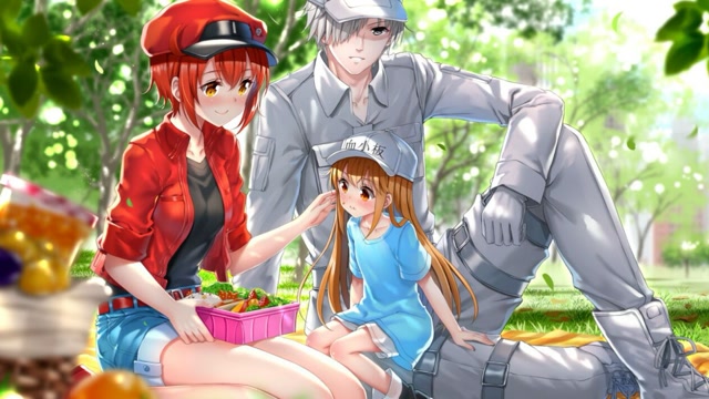 工作细胞红细胞的恋爱历程