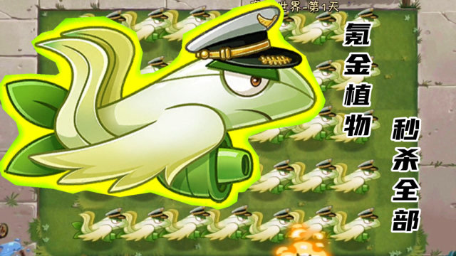 白鹭花战机告诉你!