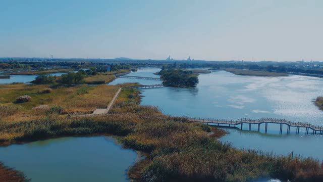 上黄湿地公园我来啦
