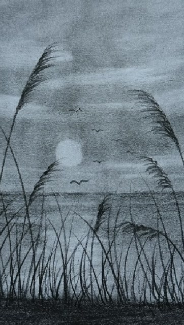 很有意境的铅笔画你学会了嘛