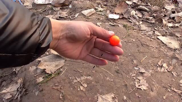 针对冬季浮球逗钓鲫鱼,小伙对线组的绑法及最近逗钓心得进行解答