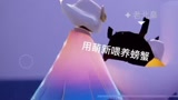 光遇：如何正确喂养螃蟹