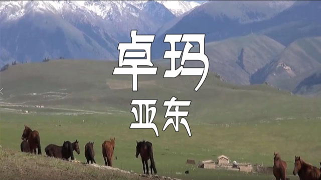 亚东演唱的《卓玛》真好听,原来他才是这首歌的原唱