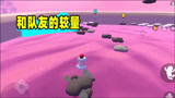 香肠派对：奔跑吧肠肠！决赛圈仅剩一日小队，你们猜谁拿冠军