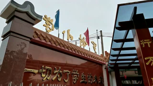 臻善教育罗村小学