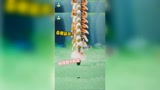 光遇：和小粉丝叠高高~