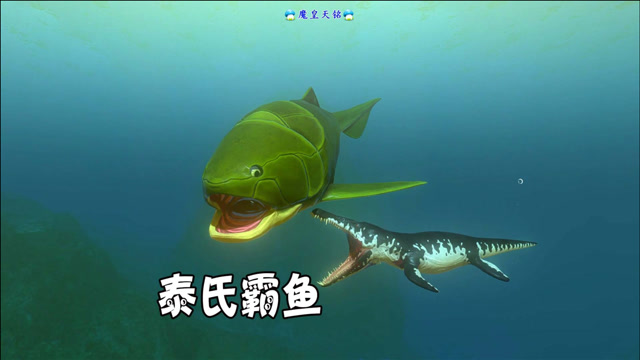 天铭 海底大猎杀 第三季 09 海洋中的铠甲武士,泰氏霸鱼!
