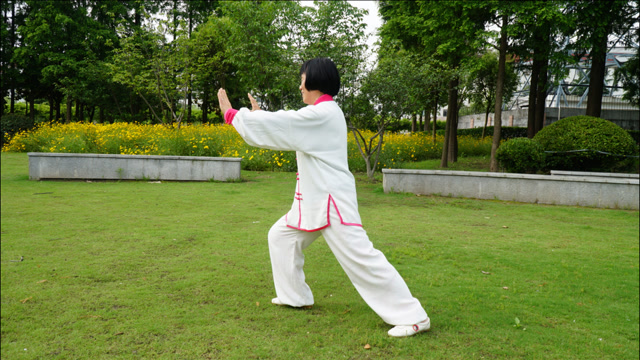 苏彩玉新编28式太极拳