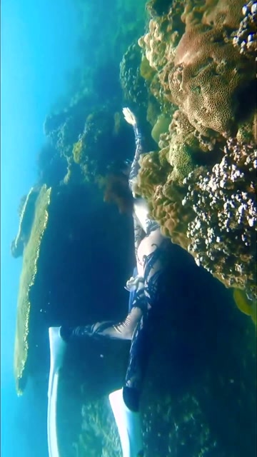 比基尼美女水下潜泳,泳技高超,身材完美!