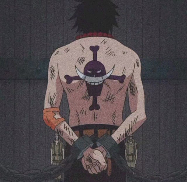 海贼王头像|众人平庸,你是人间星光