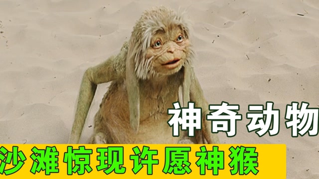 沙滩惊现许愿神猴,从此走上人生巅峰!#电影种草指南大赛