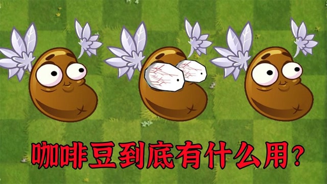 植物大战僵尸:咖啡豆的奇妙用途!