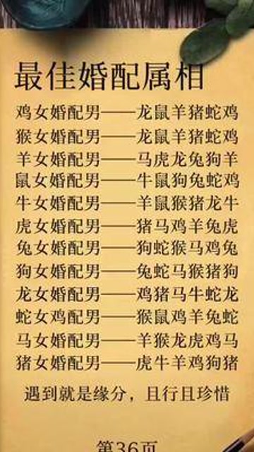 最佳婚配属相鸡女婚配男龙鼠羊猪蛇鸡猴女婚配男龙鼠羊猪蛇鸡马虎龙兔