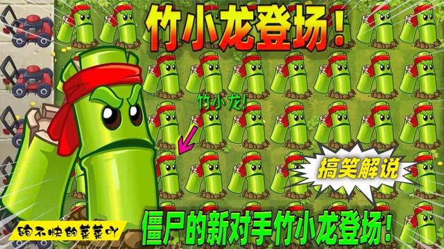 植物大战僵尸:僵尸的新对手竹小龙登场,他的表现怎么样?